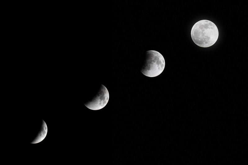 Moonlit Magic